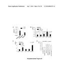 Notch Inhibition in the Prevention of Vein Graft Failure diagram and image