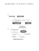 Notch Inhibition in the Prevention of Vein Graft Failure diagram and image