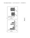 ANTI-CXCL13 ANTIBODIES AND ASSOCIATED EPITOPE SEQUENCES diagram and image