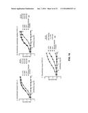 ANTI-CXCL13 ANTIBODIES AND ASSOCIATED EPITOPE SEQUENCES diagram and image