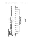 ANTI-CXCL13 ANTIBODIES AND ASSOCIATED EPITOPE SEQUENCES diagram and image