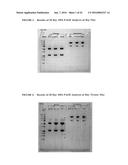 METHODS OF PURIFYING ANTI-INTERLEUKIN-13 ANTIBODIES diagram and image