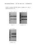 METHODS OF PURIFYING ANTI-INTERLEUKIN-13 ANTIBODIES diagram and image