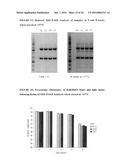 METHODS OF PURIFYING ANTI-INTERLEUKIN-13 ANTIBODIES diagram and image