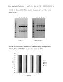 METHODS OF PURIFYING ANTI-INTERLEUKIN-13 ANTIBODIES diagram and image