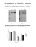 METHODS OF PURIFYING ANTI-INTERLEUKIN-13 ANTIBODIES diagram and image