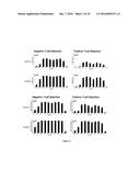 Bispecific CD33 and CD3 Binding Proteins diagram and image