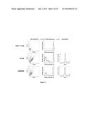 Bispecific CD33 and CD3 Binding Proteins diagram and image