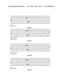 Bispecific CD33 and CD3 Binding Proteins diagram and image