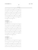 Bispecific CD33 and CD3 Binding Proteins diagram and image