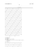 Bispecific CD33 and CD3 Binding Proteins diagram and image