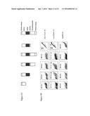 RSPO BINDING AGENTS AND USES THEREOF diagram and image