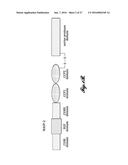 COMPOSITIONS FOR INHIBITING MASP-2 DEPENDENT COMPLEMENT ACTIVATION diagram and image