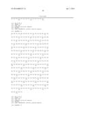 BISPECIFIC HETERODIMERIC DIABODIES AND USES THEREOF diagram and image