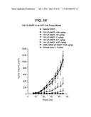 BISPECIFIC HETERODIMERIC DIABODIES AND USES THEREOF diagram and image