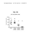 BISPECIFIC HETERODIMERIC DIABODIES AND USES THEREOF diagram and image