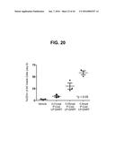 BISPECIFIC HETERODIMERIC DIABODIES AND USES THEREOF diagram and image