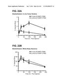 BISPECIFIC HETERODIMERIC DIABODIES AND USES THEREOF diagram and image