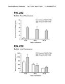 BISPECIFIC HETERODIMERIC DIABODIES AND USES THEREOF diagram and image
