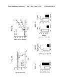 Lactic Acid Bacterium Growth Enhancer, Regulatory T-Cell Number Increasing     Agent, Method of Enhancing Growth of Lactic Acid Bacterium, Method of     Increasing Number of Regulatory T-Cells, Method of Evaluating Regulatory     T-Cell Number Increasing Effect, and Method of Evaluating Lactic Acid     Growth Enhancing Effect diagram and image