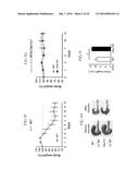 Lactic Acid Bacterium Growth Enhancer, Regulatory T-Cell Number Increasing     Agent, Method of Enhancing Growth of Lactic Acid Bacterium, Method of     Increasing Number of Regulatory T-Cells, Method of Evaluating Regulatory     T-Cell Number Increasing Effect, and Method of Evaluating Lactic Acid     Growth Enhancing Effect diagram and image