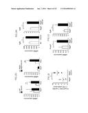 Lactic Acid Bacterium Growth Enhancer, Regulatory T-Cell Number Increasing     Agent, Method of Enhancing Growth of Lactic Acid Bacterium, Method of     Increasing Number of Regulatory T-Cells, Method of Evaluating Regulatory     T-Cell Number Increasing Effect, and Method of Evaluating Lactic Acid     Growth Enhancing Effect diagram and image