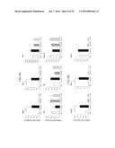 Lactic Acid Bacterium Growth Enhancer, Regulatory T-Cell Number Increasing     Agent, Method of Enhancing Growth of Lactic Acid Bacterium, Method of     Increasing Number of Regulatory T-Cells, Method of Evaluating Regulatory     T-Cell Number Increasing Effect, and Method of Evaluating Lactic Acid     Growth Enhancing Effect diagram and image