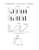 Lactic Acid Bacterium Growth Enhancer, Regulatory T-Cell Number Increasing     Agent, Method of Enhancing Growth of Lactic Acid Bacterium, Method of     Increasing Number of Regulatory T-Cells, Method of Evaluating Regulatory     T-Cell Number Increasing Effect, and Method of Evaluating Lactic Acid     Growth Enhancing Effect diagram and image