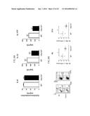 Lactic Acid Bacterium Growth Enhancer, Regulatory T-Cell Number Increasing     Agent, Method of Enhancing Growth of Lactic Acid Bacterium, Method of     Increasing Number of Regulatory T-Cells, Method of Evaluating Regulatory     T-Cell Number Increasing Effect, and Method of Evaluating Lactic Acid     Growth Enhancing Effect diagram and image