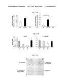 Lactic Acid Bacterium Growth Enhancer, Regulatory T-Cell Number Increasing     Agent, Method of Enhancing Growth of Lactic Acid Bacterium, Method of     Increasing Number of Regulatory T-Cells, Method of Evaluating Regulatory     T-Cell Number Increasing Effect, and Method of Evaluating Lactic Acid     Growth Enhancing Effect diagram and image