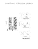 Lactic Acid Bacterium Growth Enhancer, Regulatory T-Cell Number Increasing     Agent, Method of Enhancing Growth of Lactic Acid Bacterium, Method of     Increasing Number of Regulatory T-Cells, Method of Evaluating Regulatory     T-Cell Number Increasing Effect, and Method of Evaluating Lactic Acid     Growth Enhancing Effect diagram and image