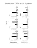 Lactic Acid Bacterium Growth Enhancer, Regulatory T-Cell Number Increasing     Agent, Method of Enhancing Growth of Lactic Acid Bacterium, Method of     Increasing Number of Regulatory T-Cells, Method of Evaluating Regulatory     T-Cell Number Increasing Effect, and Method of Evaluating Lactic Acid     Growth Enhancing Effect diagram and image