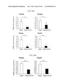 Lactic Acid Bacterium Growth Enhancer, Regulatory T-Cell Number Increasing     Agent, Method of Enhancing Growth of Lactic Acid Bacterium, Method of     Increasing Number of Regulatory T-Cells, Method of Evaluating Regulatory     T-Cell Number Increasing Effect, and Method of Evaluating Lactic Acid     Growth Enhancing Effect diagram and image