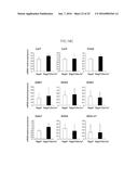 Lactic Acid Bacterium Growth Enhancer, Regulatory T-Cell Number Increasing     Agent, Method of Enhancing Growth of Lactic Acid Bacterium, Method of     Increasing Number of Regulatory T-Cells, Method of Evaluating Regulatory     T-Cell Number Increasing Effect, and Method of Evaluating Lactic Acid     Growth Enhancing Effect diagram and image