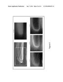 PEG-ASSISTED DEPOSITION OF CRACK-FREE TITANIA NANOCRYSTALLINE COATINGS     OVER AI FLAKES diagram and image