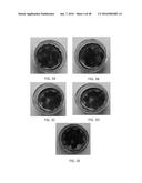 NANO-CELLULOSE EDIBLE COATINGS AND USES THEREOF diagram and image