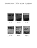 NANO-CELLULOSE EDIBLE COATINGS AND USES THEREOF diagram and image