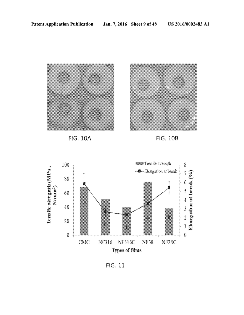 NANO-CELLULOSE EDIBLE COATINGS AND USES THEREOF - diagram, schematic, and image 10