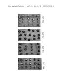 NANO-CELLULOSE EDIBLE COATINGS AND USES THEREOF diagram and image