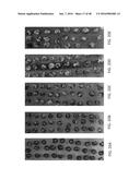 NANO-CELLULOSE EDIBLE COATINGS AND USES THEREOF diagram and image