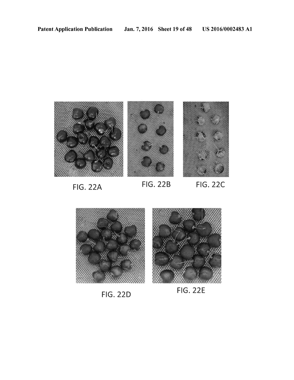 NANO-CELLULOSE EDIBLE COATINGS AND USES THEREOF - diagram, schematic, and image 20