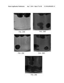 NANO-CELLULOSE EDIBLE COATINGS AND USES THEREOF diagram and image