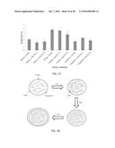 NANO-CELLULOSE EDIBLE COATINGS AND USES THEREOF diagram and image