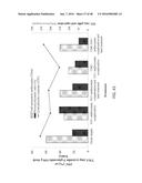 NANO-CELLULOSE EDIBLE COATINGS AND USES THEREOF diagram and image