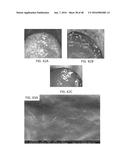 NANO-CELLULOSE EDIBLE COATINGS AND USES THEREOF diagram and image