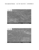 NANO-CELLULOSE EDIBLE COATINGS AND USES THEREOF diagram and image