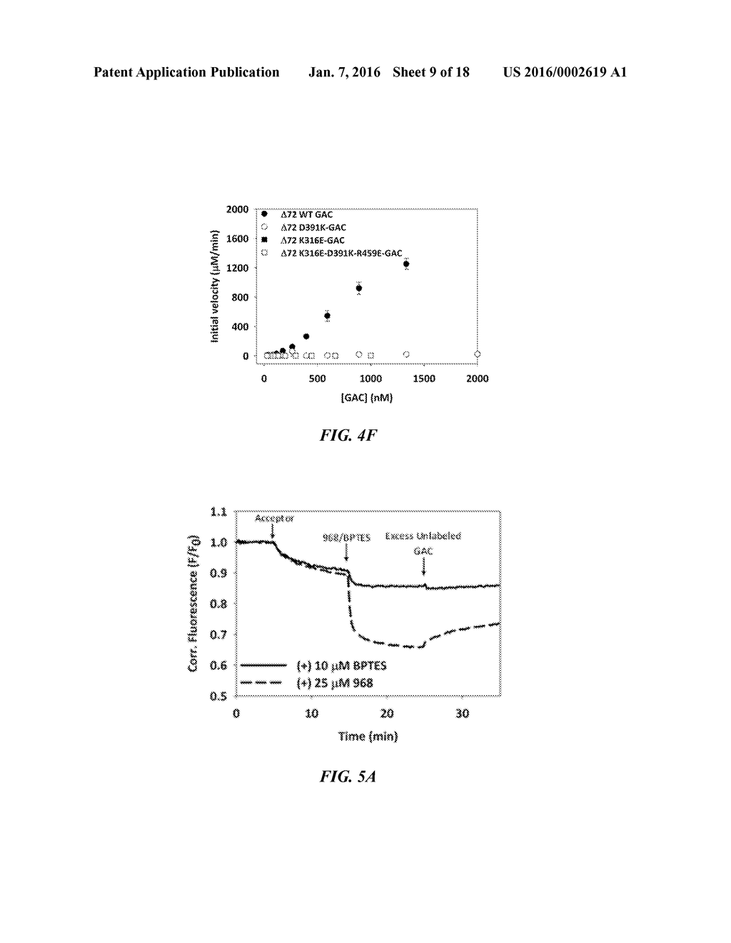 LABELED GLUTAMINASE PROTEINS, ISOLATED GLUTAMINASE PROTEIN MUTANTS,     METHODS OF USE, AND KIT - diagram, schematic, and image 10