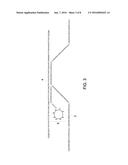 METHODS FOR CAPTURING NUCLEIC ACIDS diagram and image