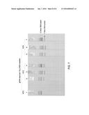 METHODS FOR CAPTURING NUCLEIC ACIDS diagram and image