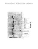 ANTISENSE OLIGONUCLEOTIDES FOR INDUCING EXON SKIPPING AND METHODS OF USE     THEREOF diagram and image